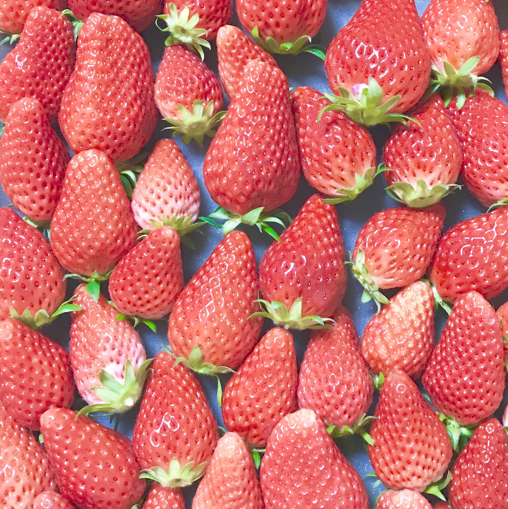 20代女の独り言では留まらない