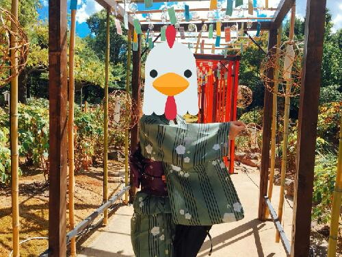 Vol3.5お詫びと訂正