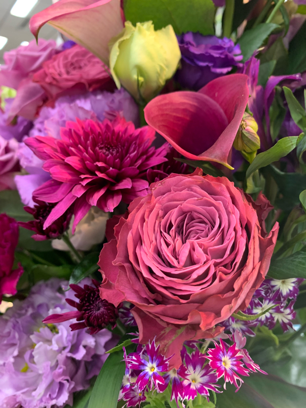 日記2 くろうくんのはなし