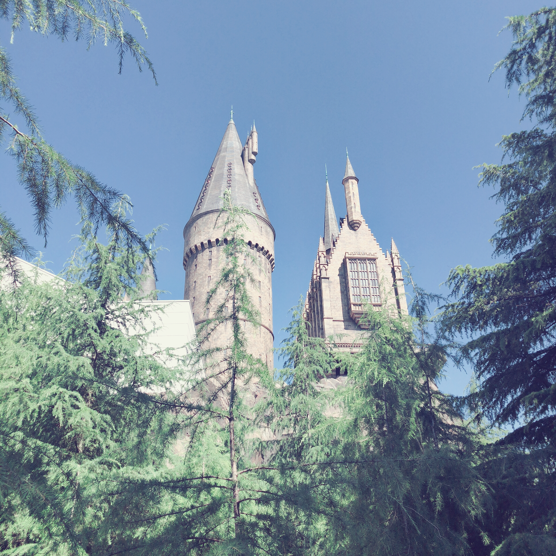 #1 まずは自己紹介