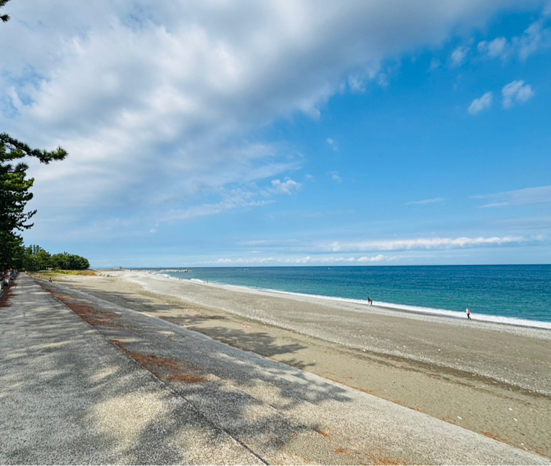 とれいんチャンネル