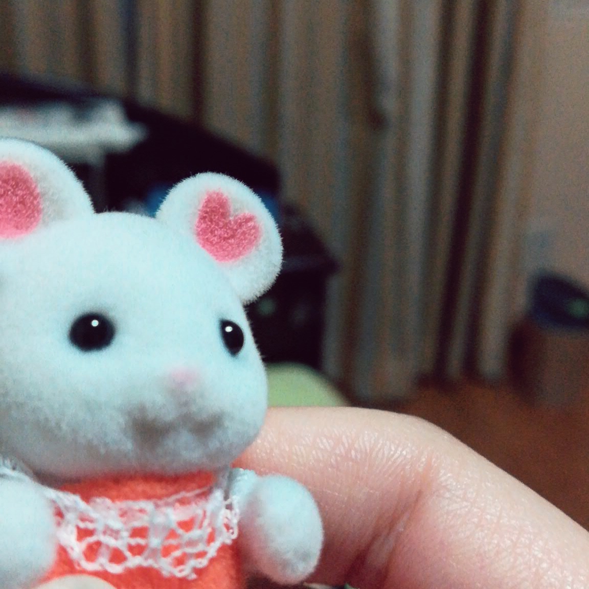 Amazonで買ったもの2