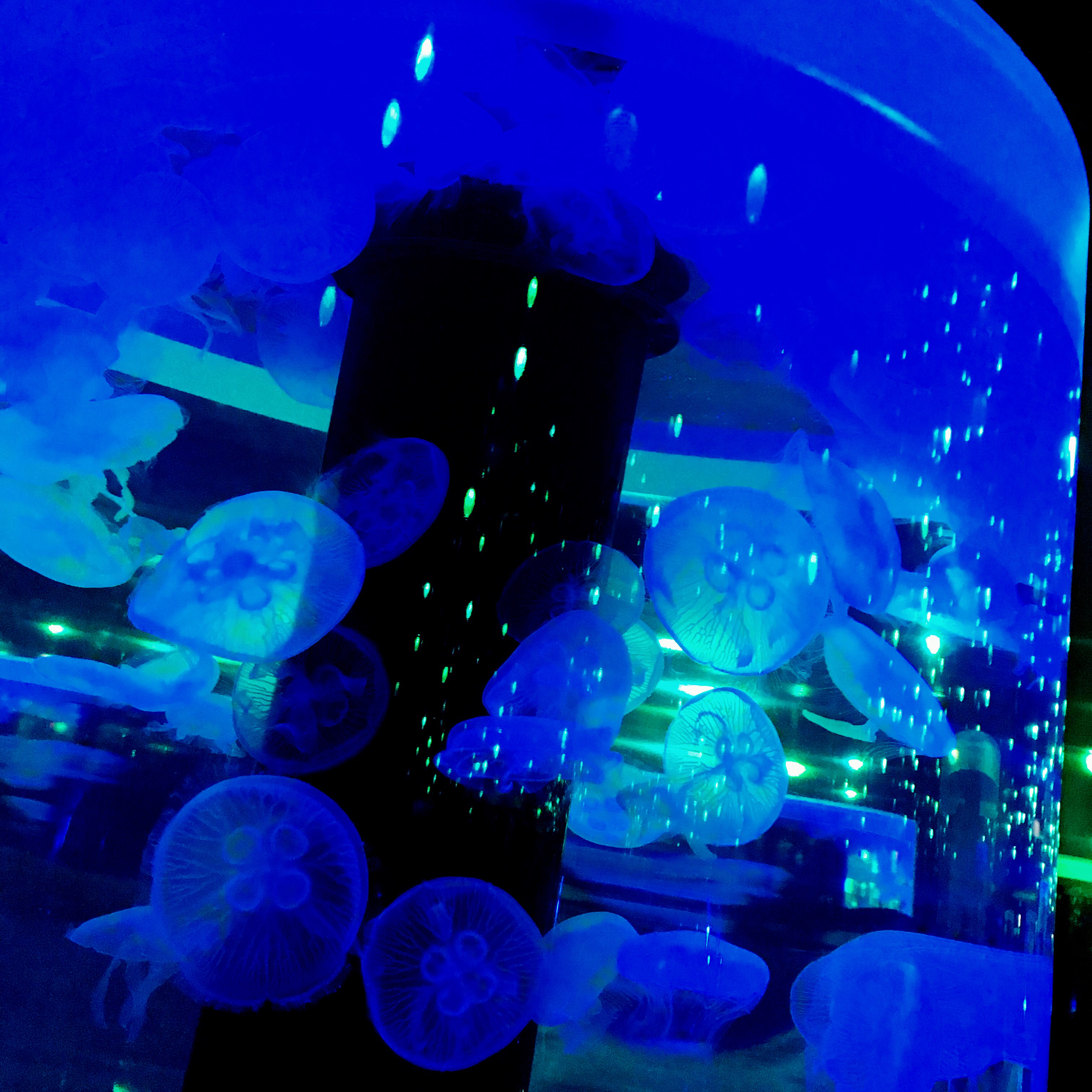 岸波白野が好き #1