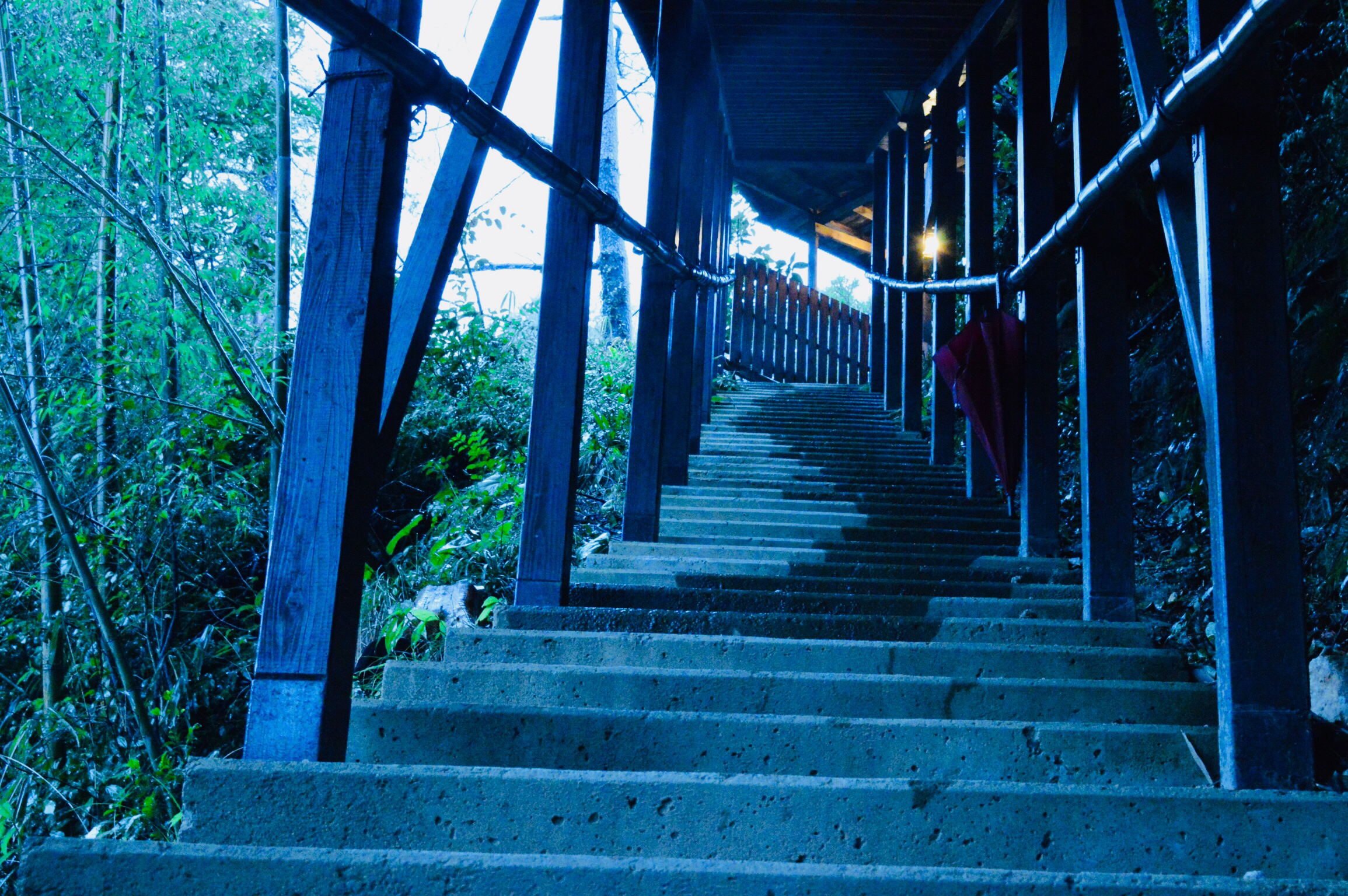 #2 高校の体育祭の頃のお話