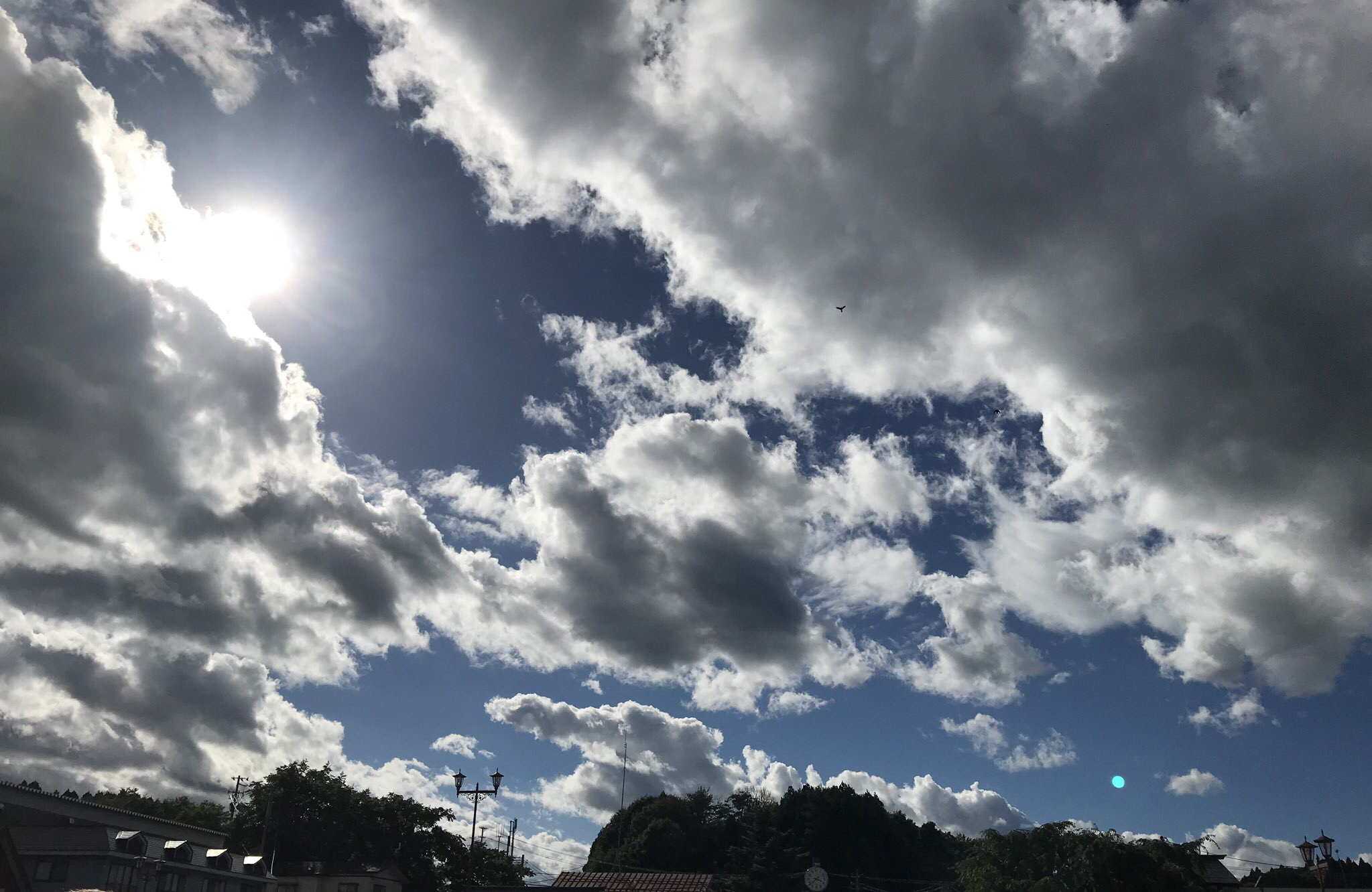 夏コミの社長のシュウロム本について