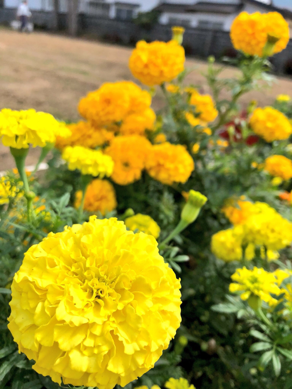 日々の気づきを音にする