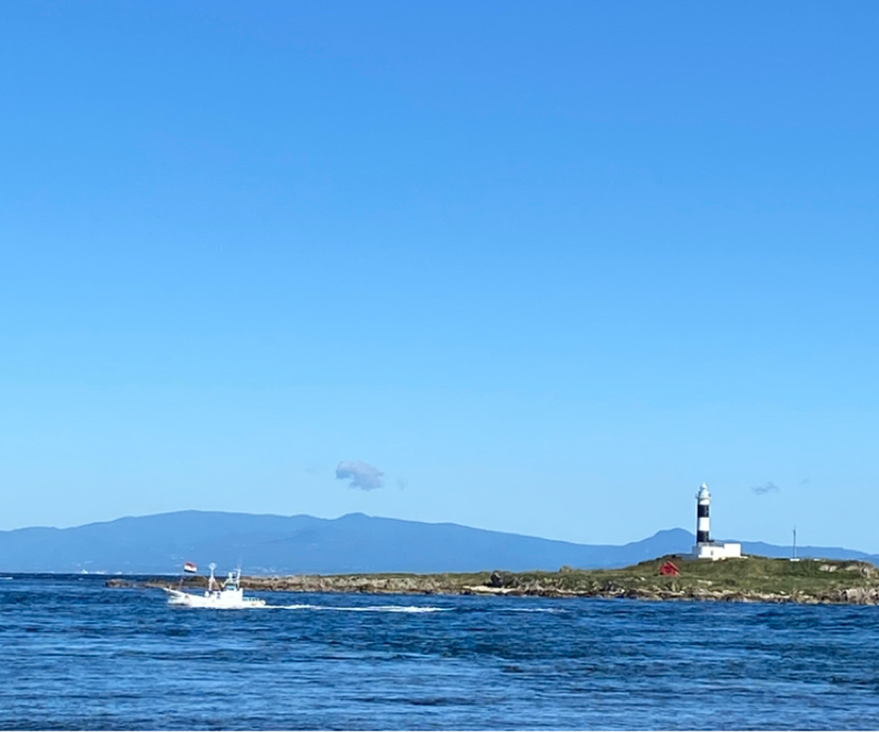 【其の1010】ほっとするよと