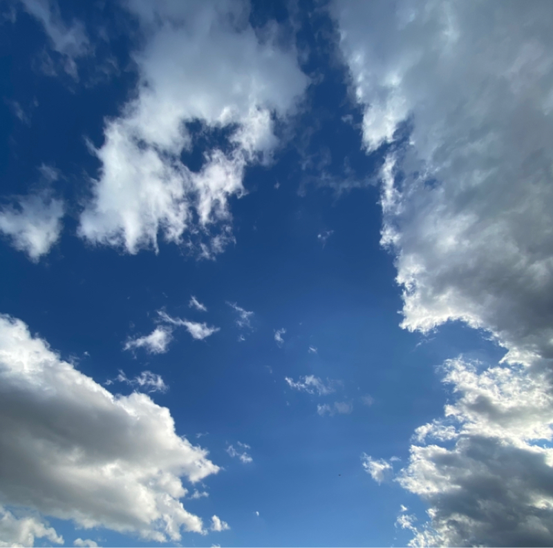 【其の1016】鳶親父　富士を見ながら