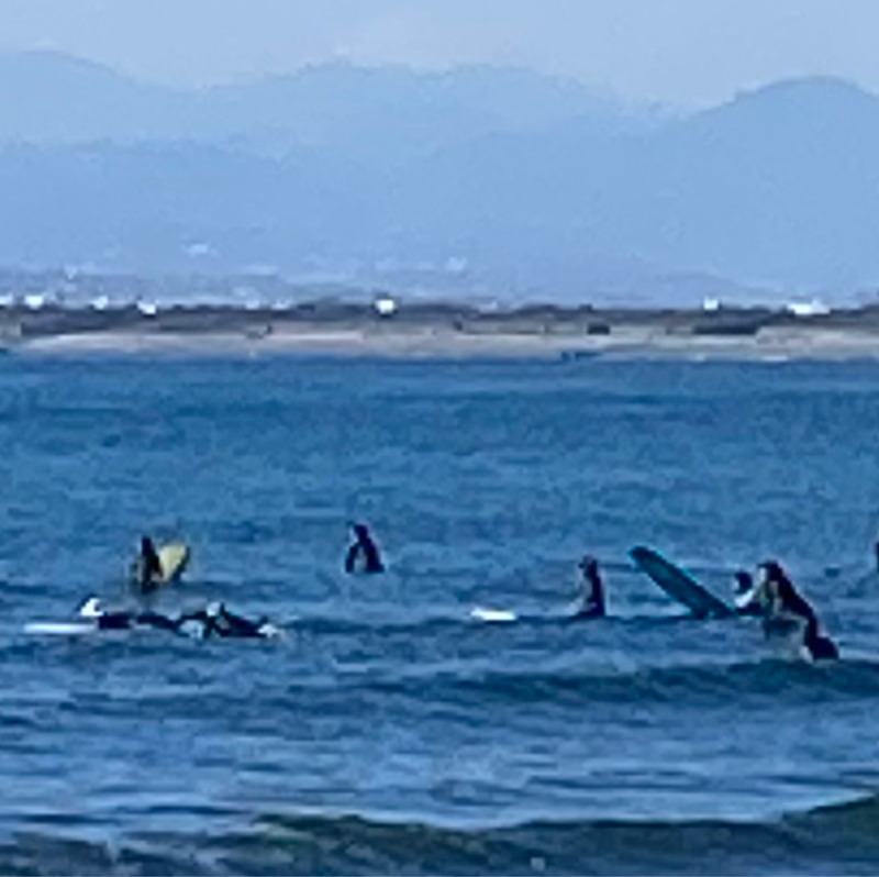 【其の1022】あれもこれもと挑むは