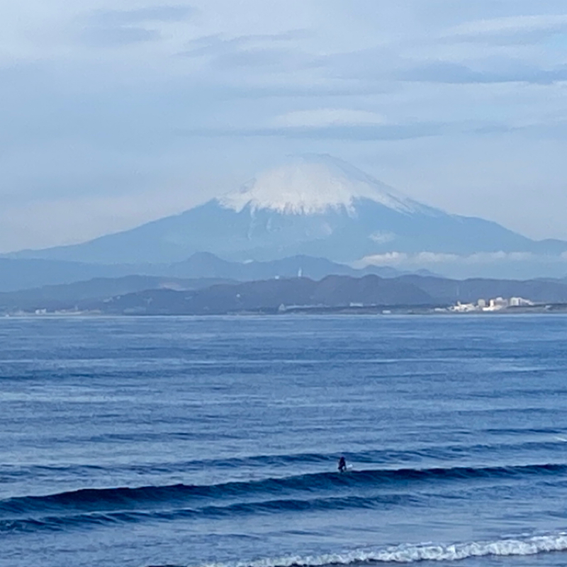 【其の1040】高嶺の花に