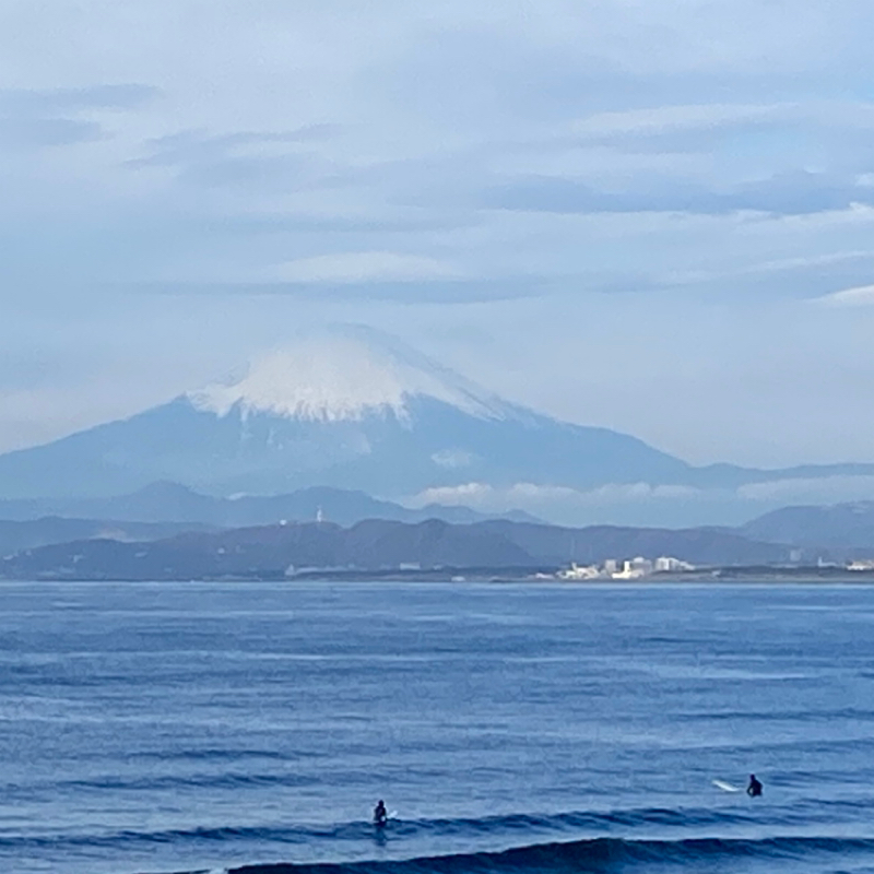 【其の1046】辛い浮世と