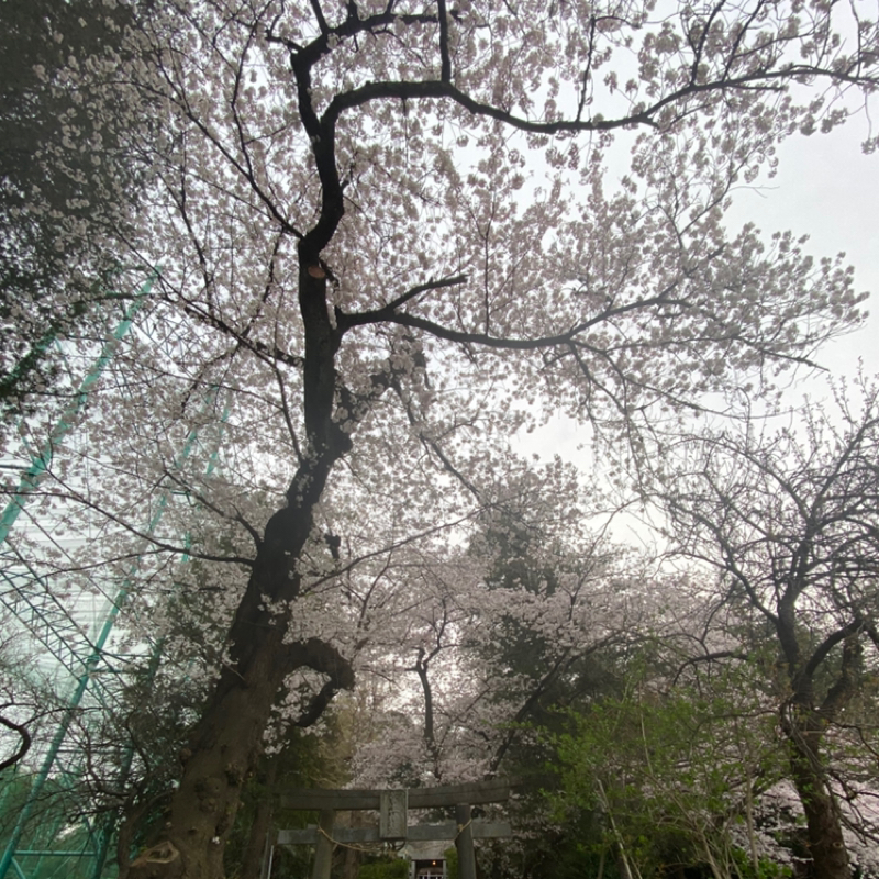 【其の1053】これからどんな人間になりたい？