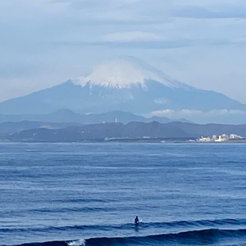 【其の1056】粋に惚れたと
