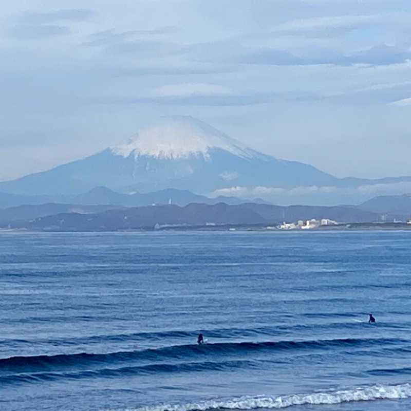 【其の1077】たとえ姑が