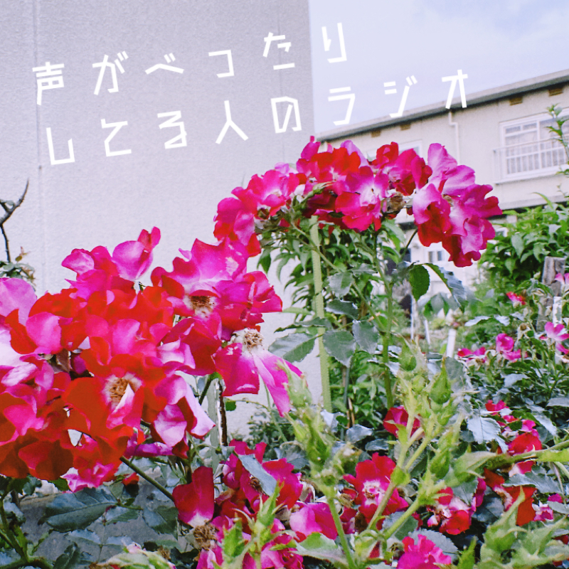 ▼56 お久しぶりとお正月っていいよねの話