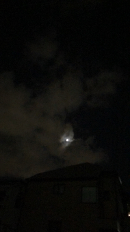 音伝え　第六十一夜