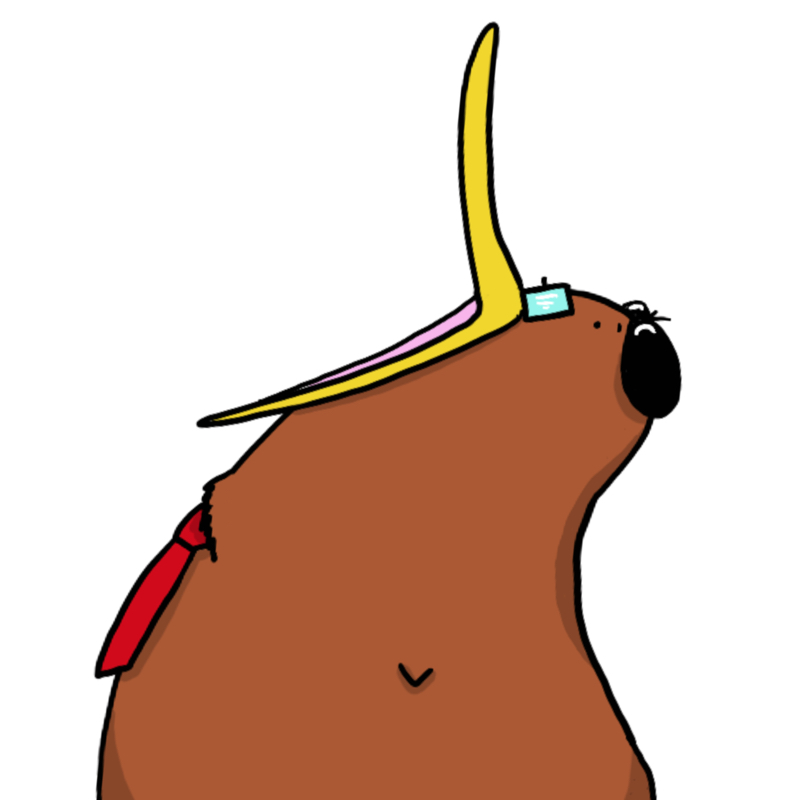 #259 100万円！！コレに使うしかない。。。