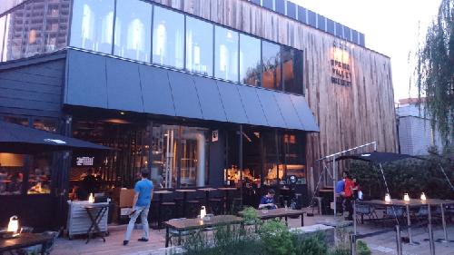 （犬）RYU局（逆転裁判）