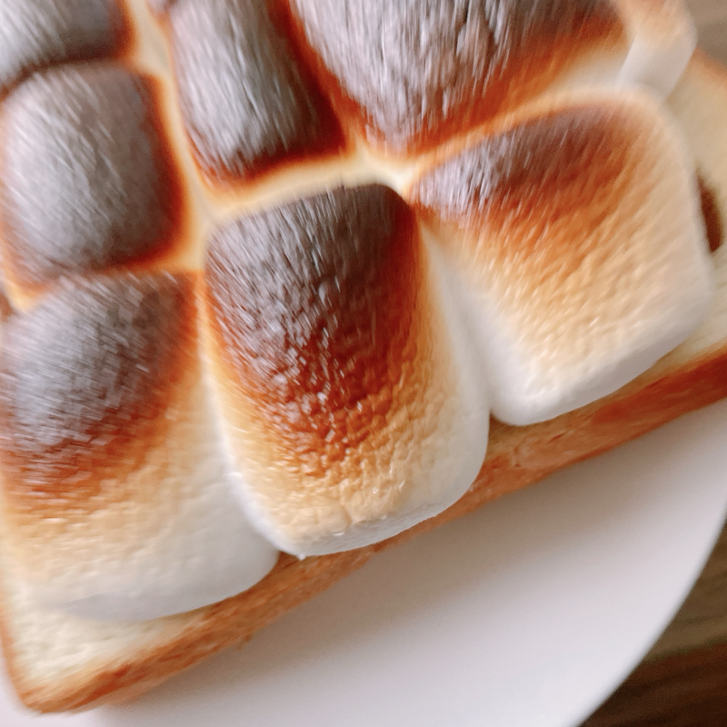 声ガラガラハッピー4days日記②