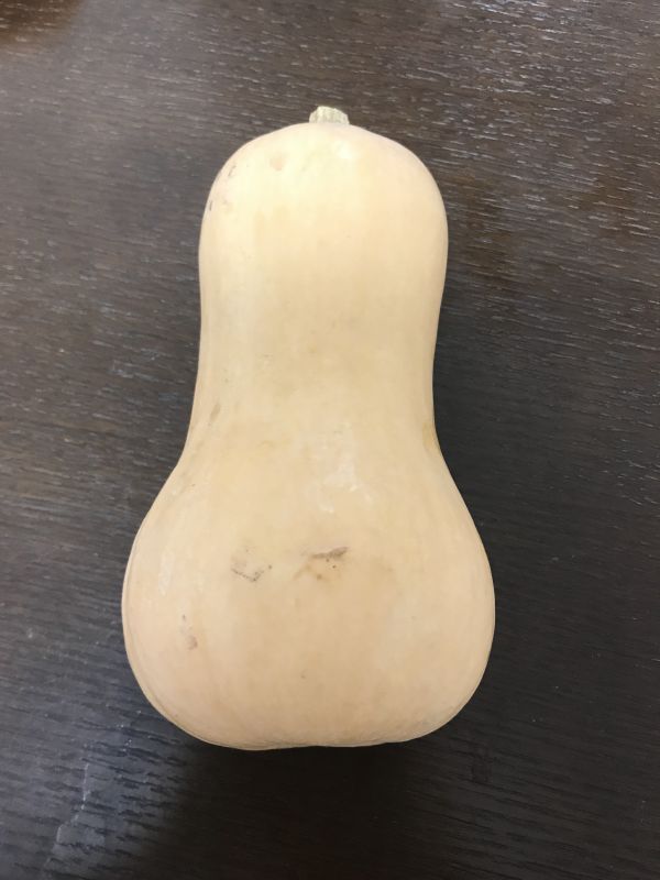 #1 自己紹介と生パセリ保存方法について