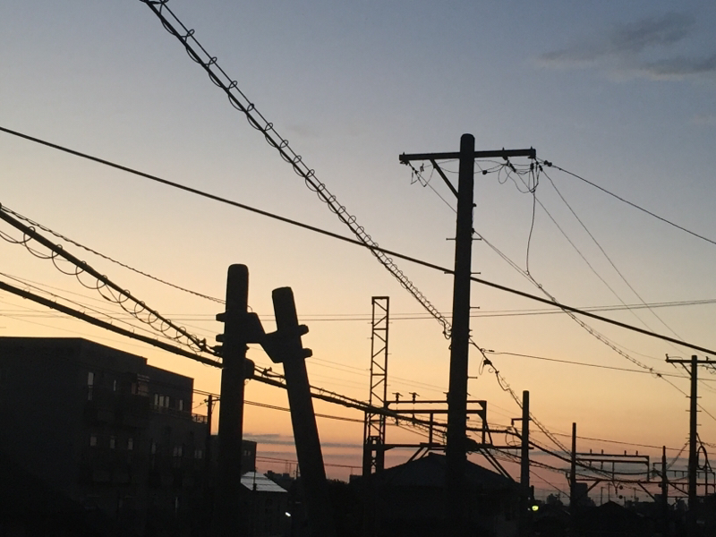 概念として美しくなりたい