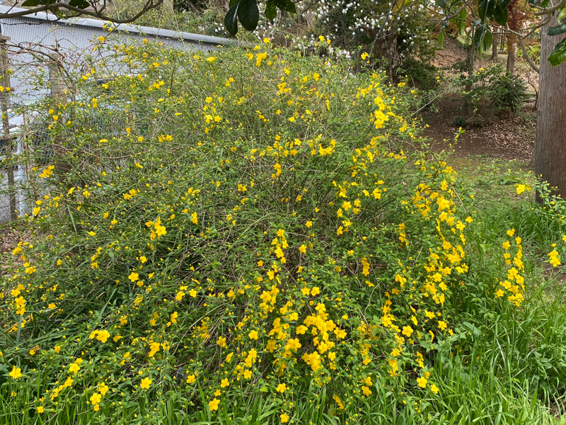 ＃13 今週、掲載された記事。松たか子に投影される悪女観の変化。