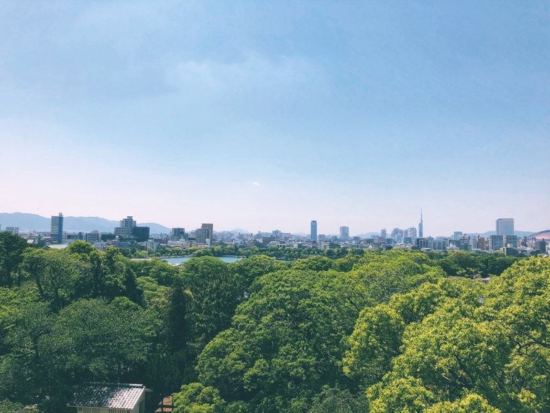 蔵出しのあのアレ…なに？回