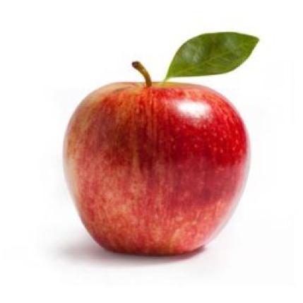 初めましての会