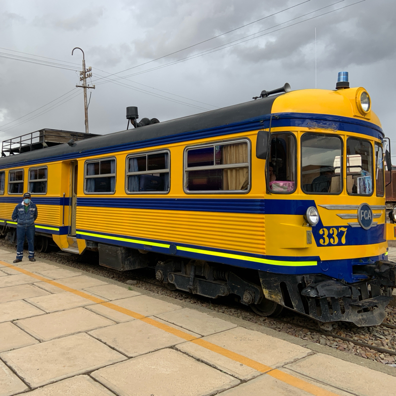電車からアルパカとフラミンゴが見えた