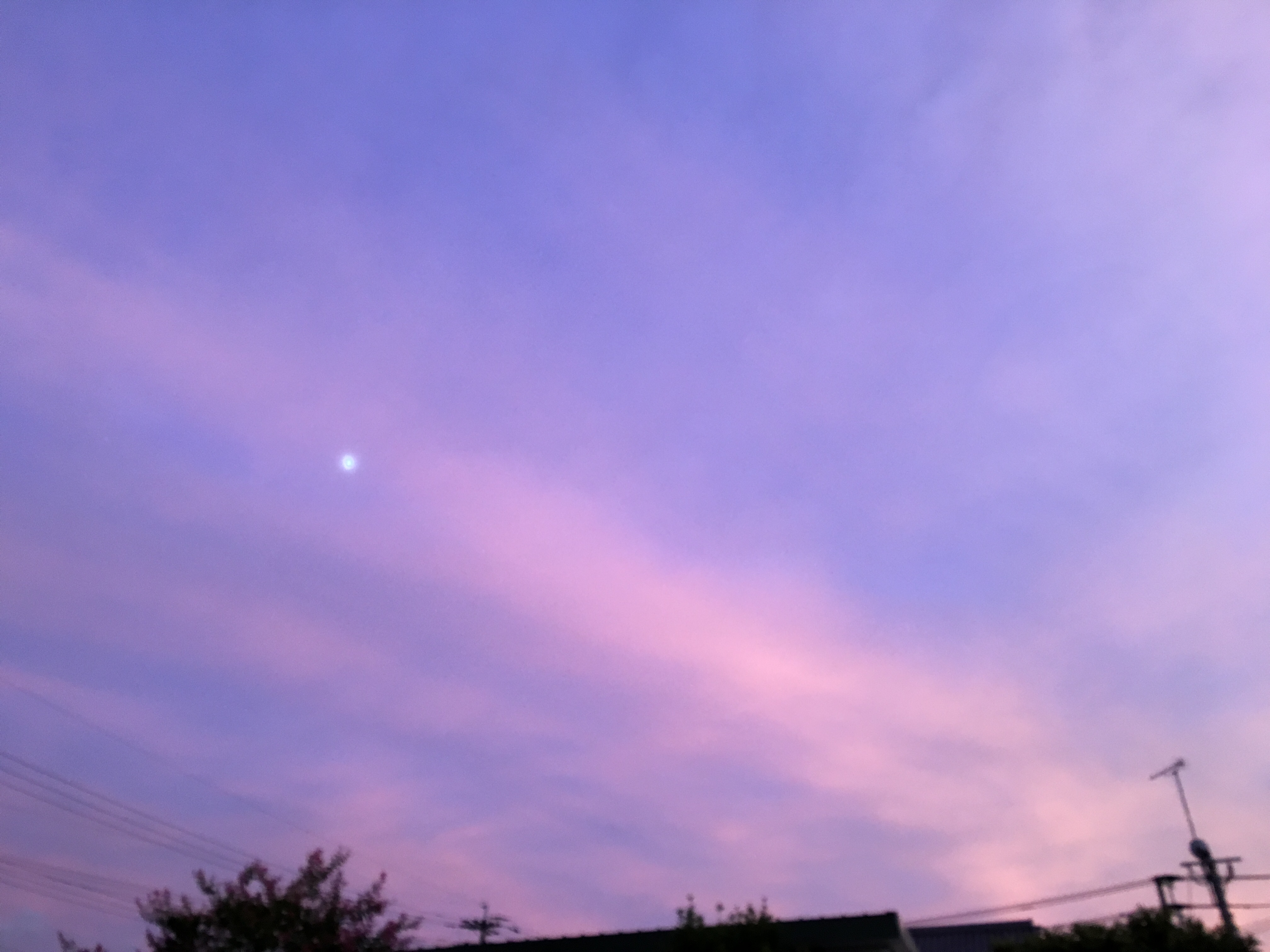 人間不平等卍って感じっすね