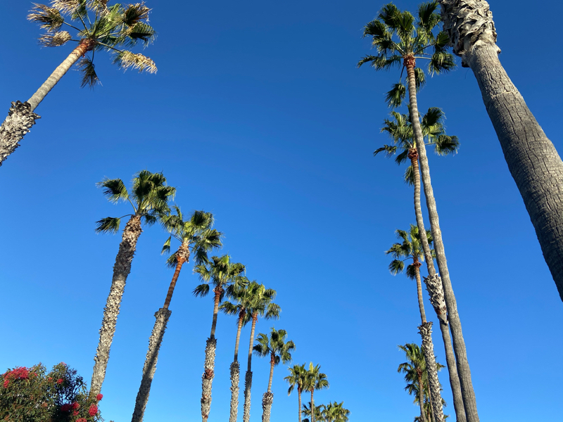 182 なぜバイリンガルを目指すのか？