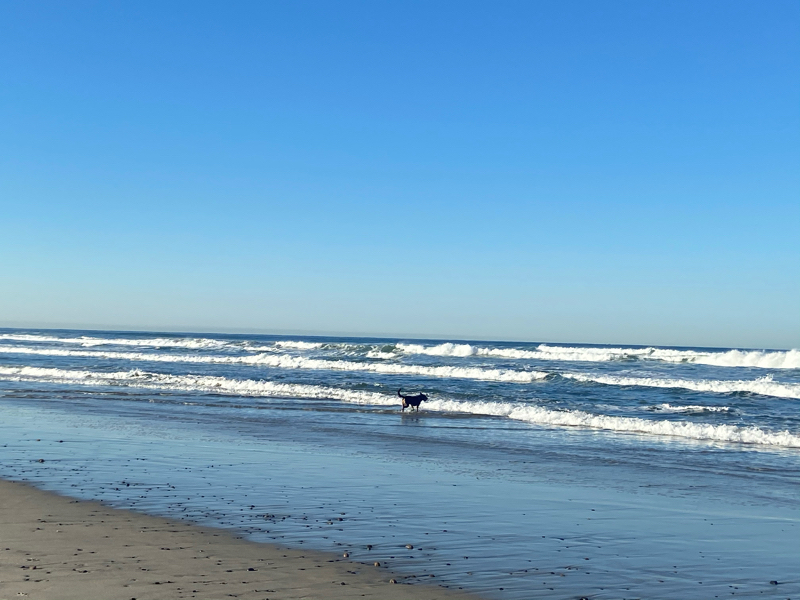 204 二月の言葉【光の春】