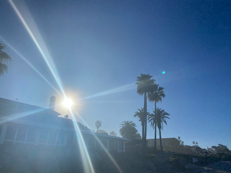 209  不安や恐怖の源