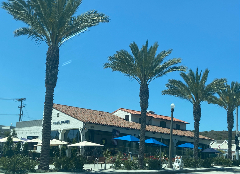 302: ㊗️300回配信✨人気テーマを振り返る