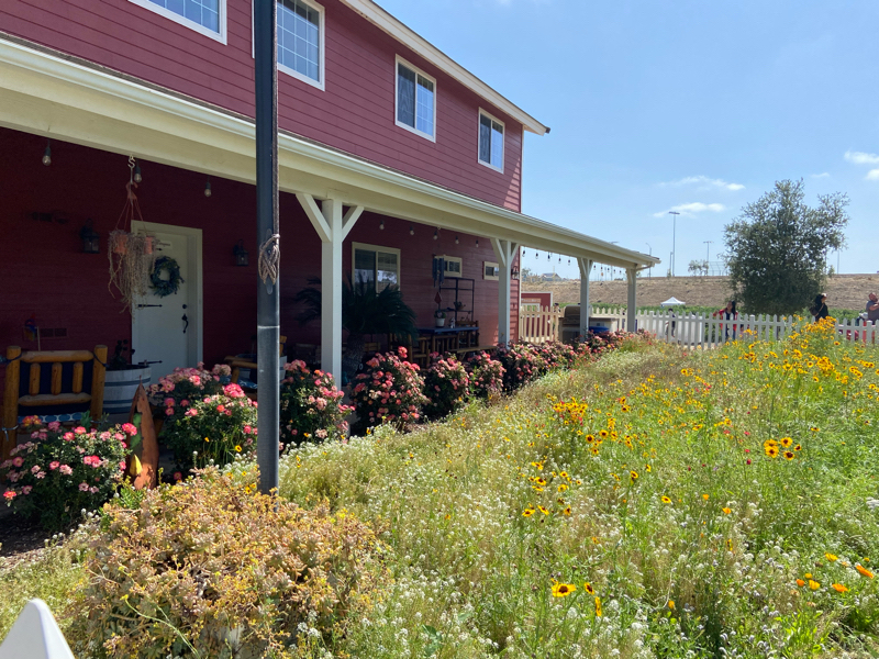 306:運転マナーを教える