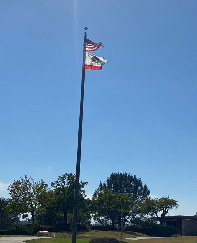 311: アメリカでのボランティア活動