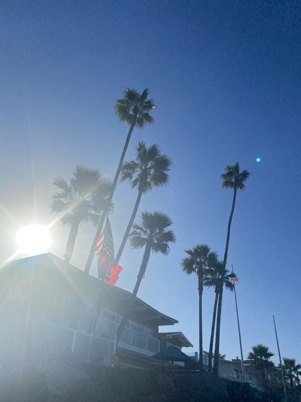 438: 論語の魅力① 孔子の学者としての言葉 