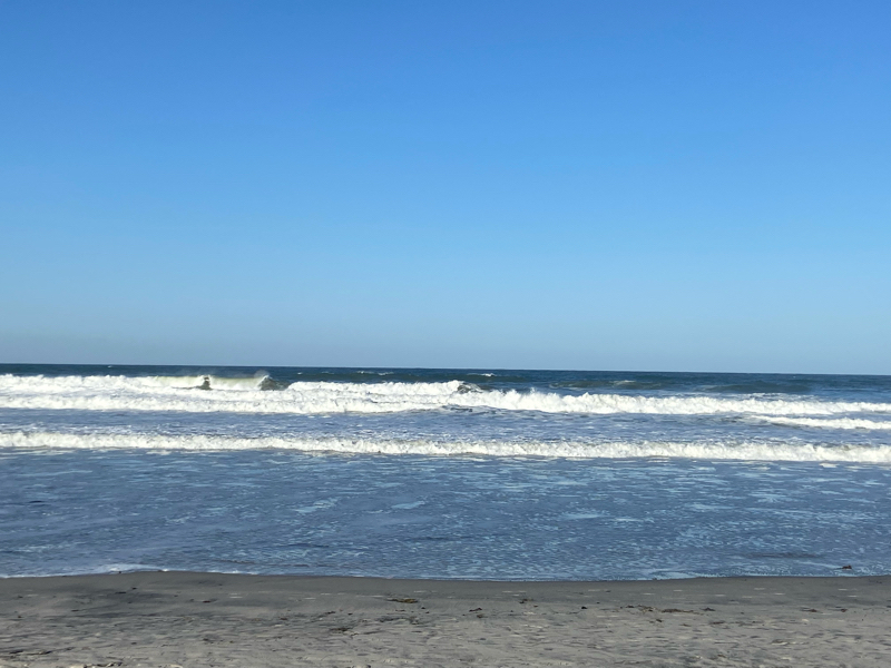 439: 論語の魅力② 孔子の教育者としての言葉