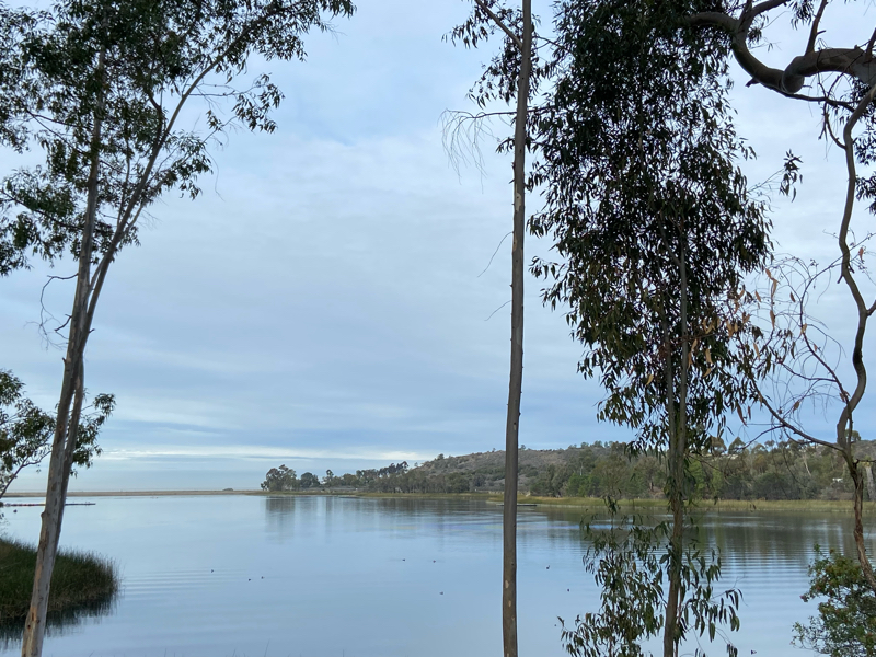 510: 巳の日に始めるお正月準備