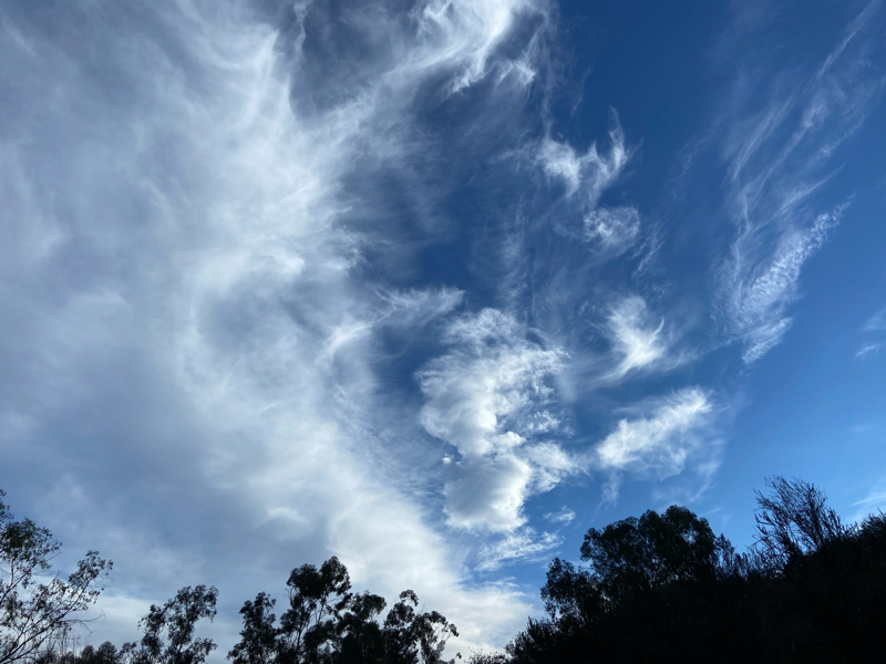 542: リベラルアーツカレッジ人気の理由