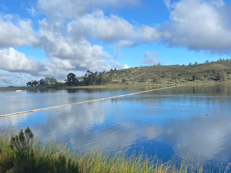 606: 清明:エンジェルナンバーと一粒万倍日