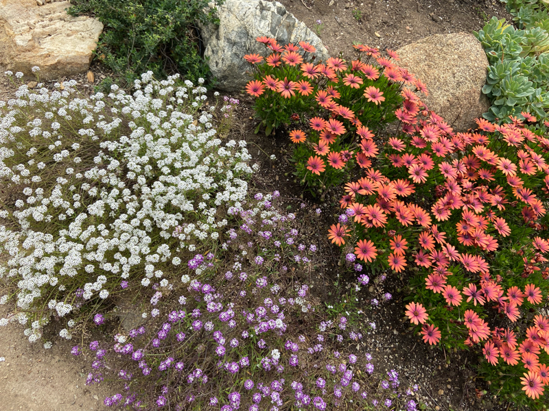 608:ヨガの聖地　メディテーション🧘‍♀️ガーデン