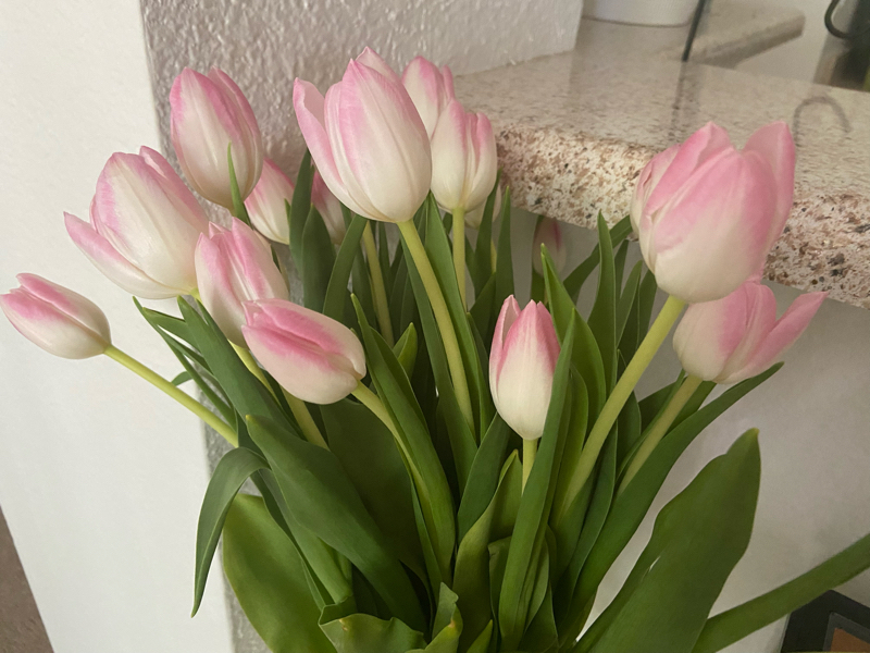 635:呼吸に意識を向けよう