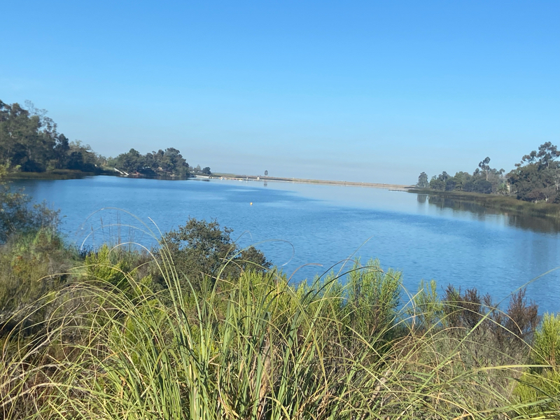 685: 子育てで一番大事なこと