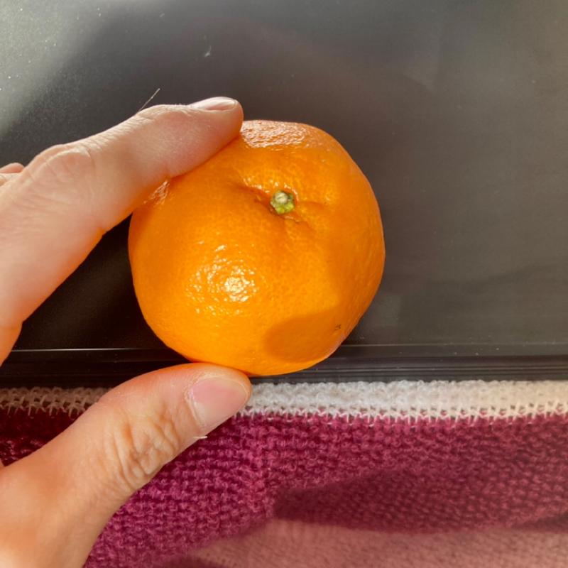 2月！5年ぶりだの20年ぶりだの、今月もよろしくどうぞ。