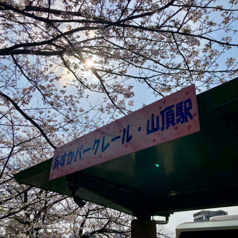 告知と再会の教訓と♫