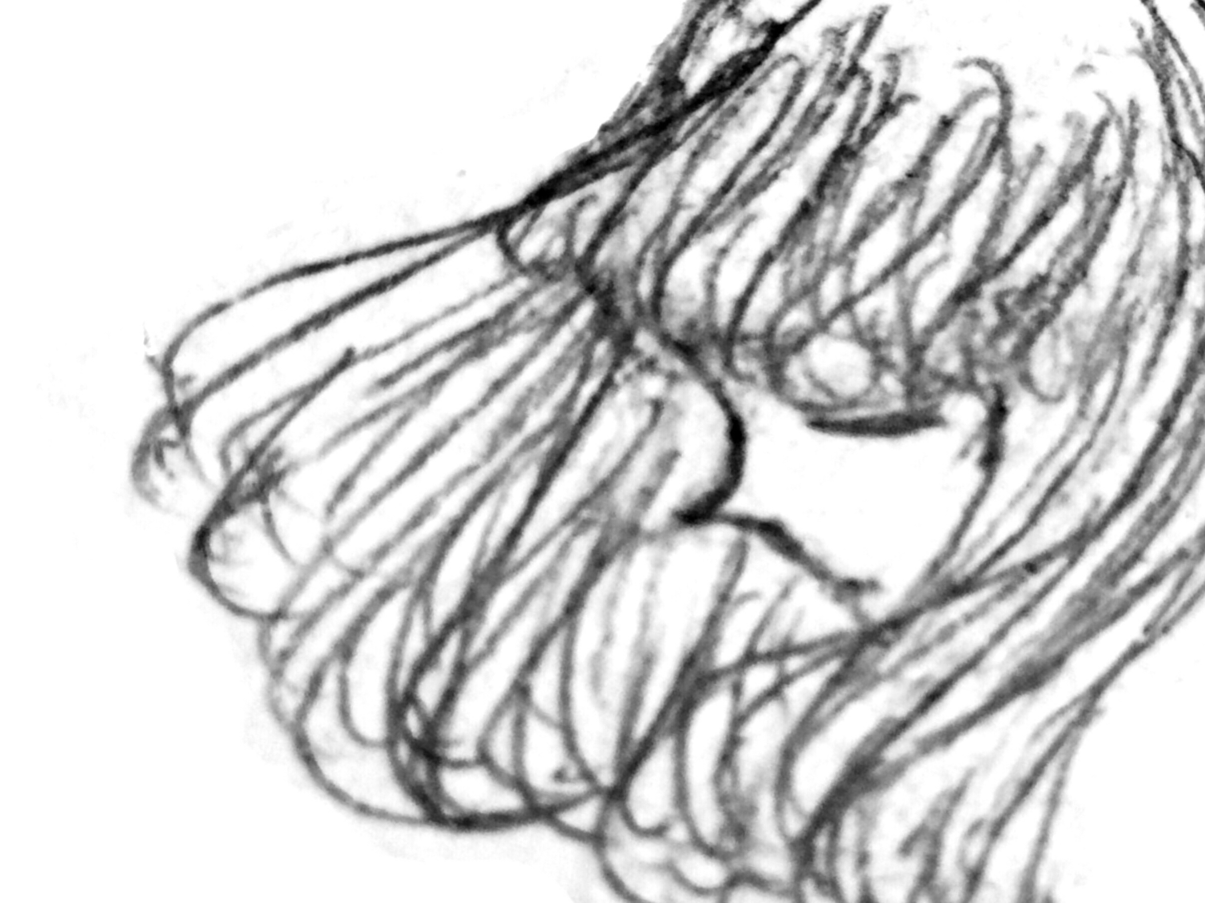 #3 真白友也のプロフィール