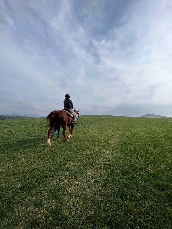 ホテルチャレンジしても豊かになれない理由