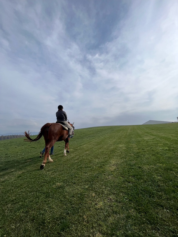 本当の願いって何だろう