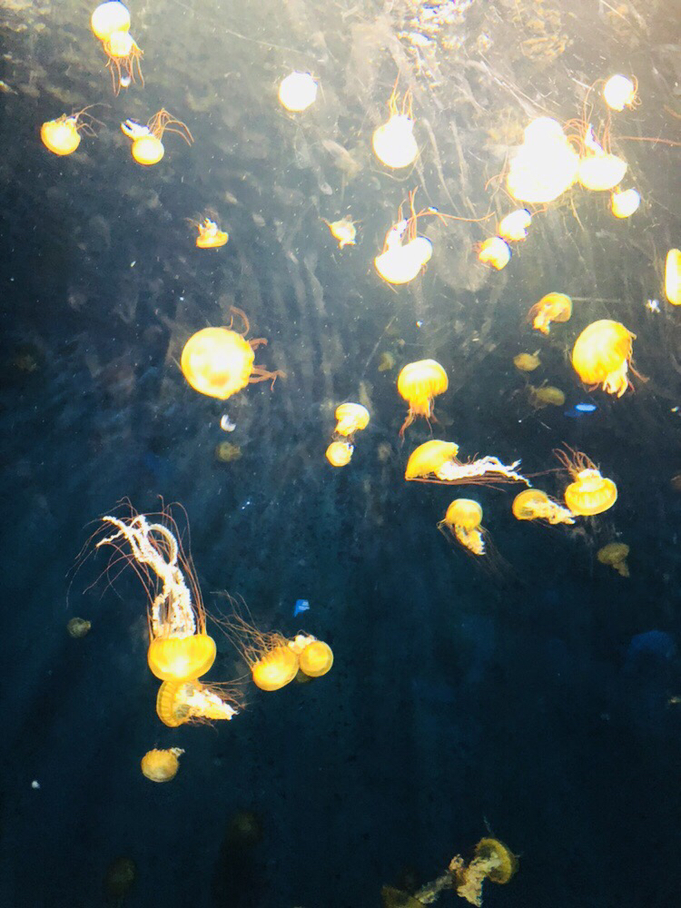 セカライT1Mのお話